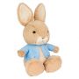 Peter Rabbit Silly Pawz Soft Toy