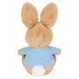 Peter Rabbit Silly Pawz Soft Toy