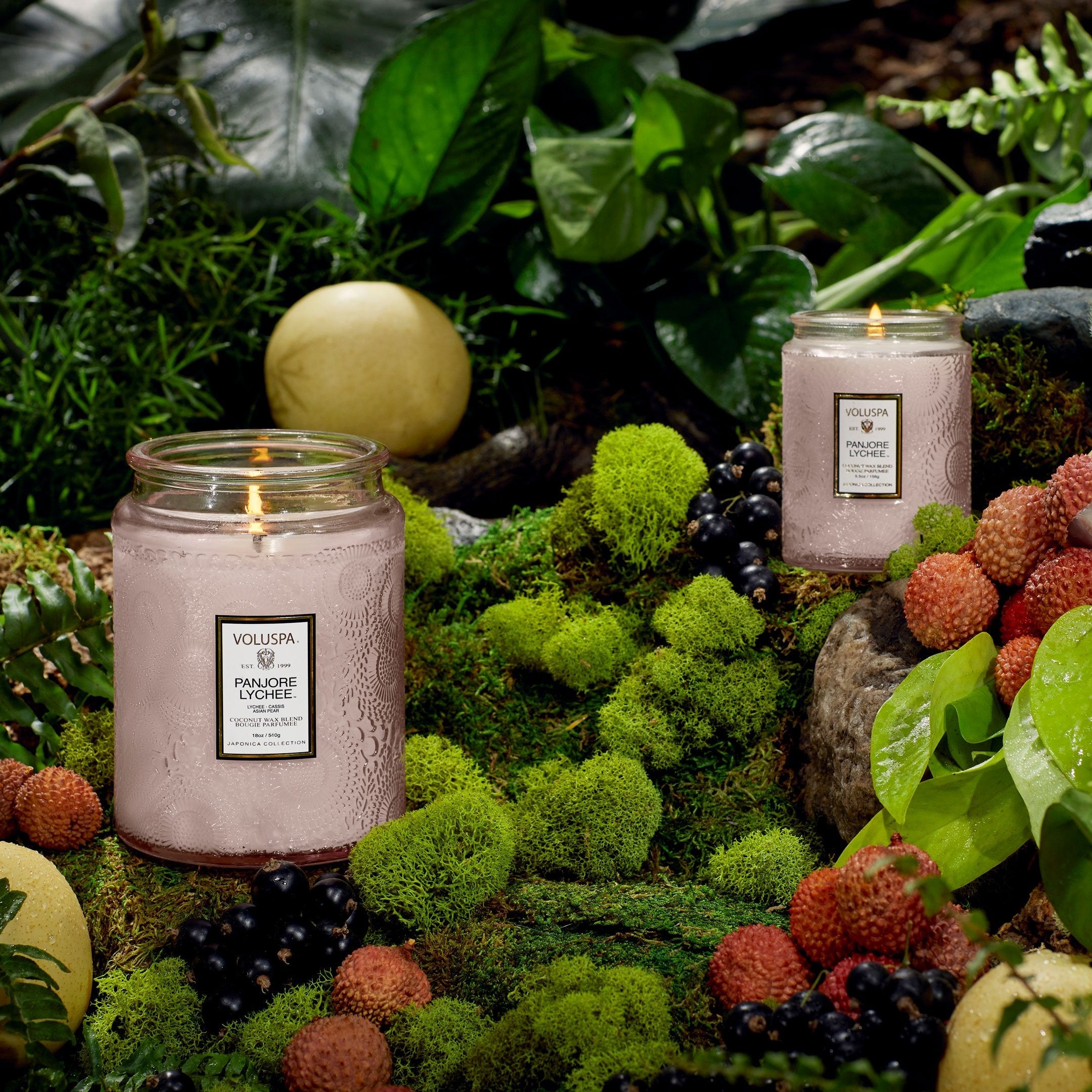 VOLUSPA Panjore Lychee 100hr Candle | 510g