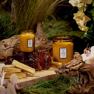 Baltic Amber 100hr Candle | 510g