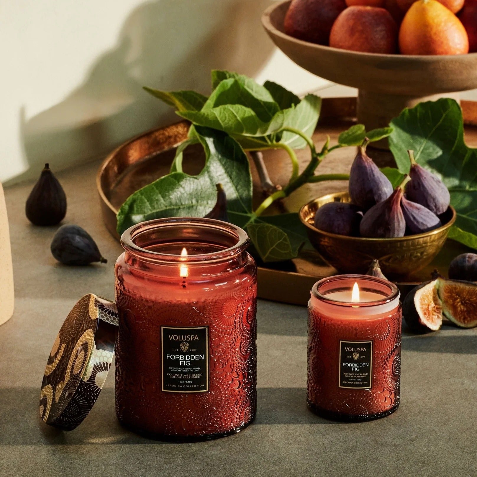 Forbidden Fig 100hr Candle | 510g