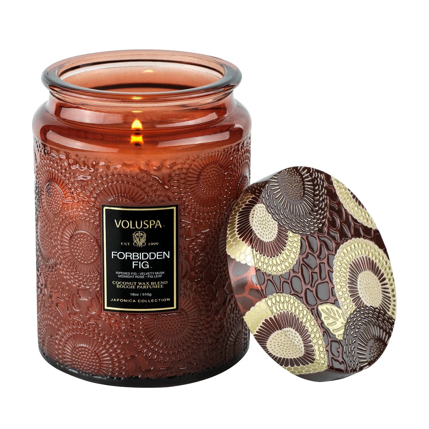 Forbidden Fig 100hr Candle | 510g