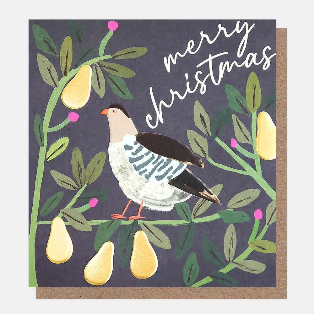 Partridge in Foliage Christmas Card Pack | 8pk | 14.6x14cm