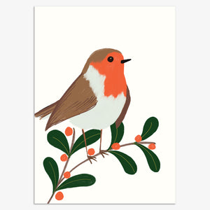 Robin Christmas Card Pack | 8pk | 8.8x12.3cm