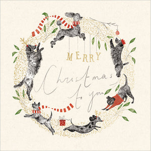 Festive Pup Christmas Card Pack | 8pk | 16x16cm