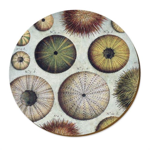 Kina Sea Urchin Placemat