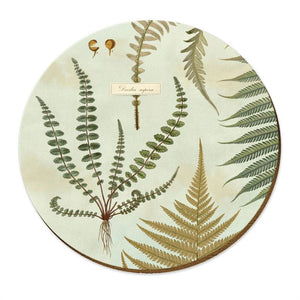 New Zealand Ferns Placemat