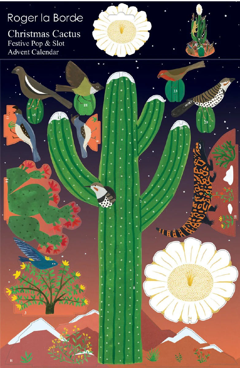 Christmas Cactus Large Pop & Slot Advent