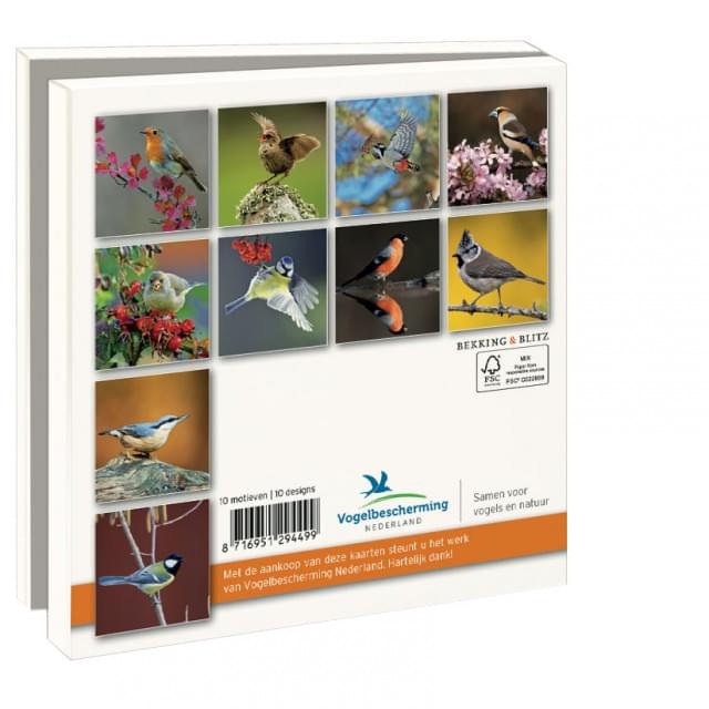 Garden Birds Notecard Set | 10pk
