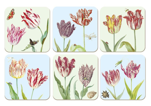 Tulip Coaster Set | 6pk