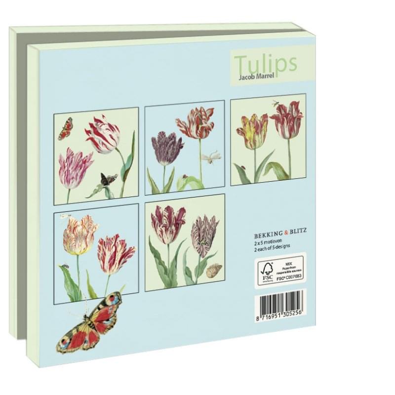 Tulips, Jacob Marrel Notecard Set | 10pk