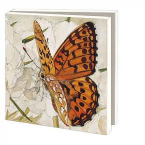 Butterfly, Zaans Museum Notecard Set | 10pk