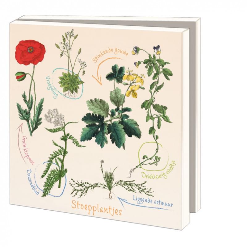 Stoepplantjes, Hortus botanicus Leiden Notecard Set | 10pk