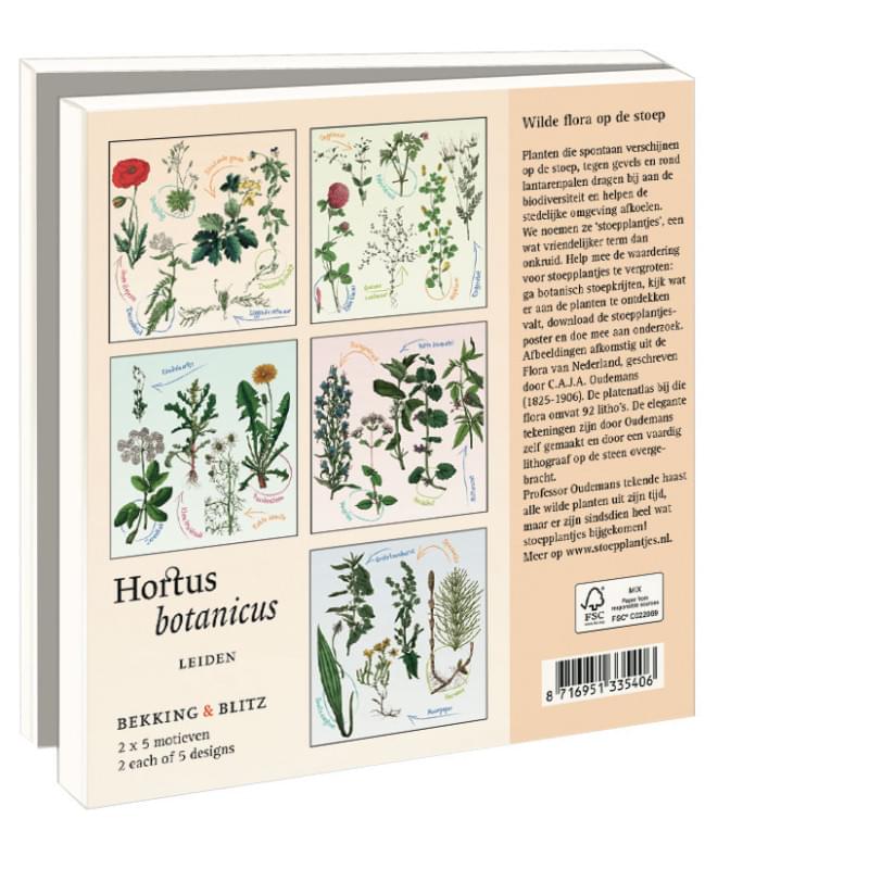 Stoepplantjes, Hortus botanicus Leiden Notecard Set | 10pk