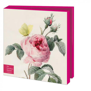 Roses, The Fitzwilliam Museum Notecard Set | 10pk