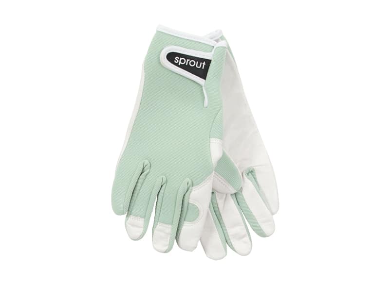 Sprout Goatskin Gloves | Sage Green