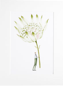 ASTRANTIA "IN BLOOM" MOUNTED A4 PRINT