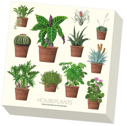 House Plants 3 Ply Napkins - 20pk